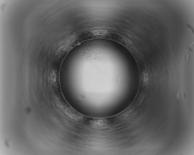 X0000103240567200808281443