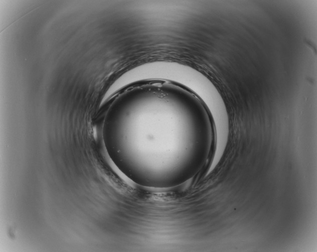 X0000103240568200808281443