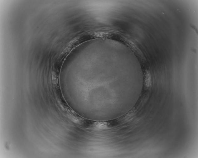X0000103240569200808281443