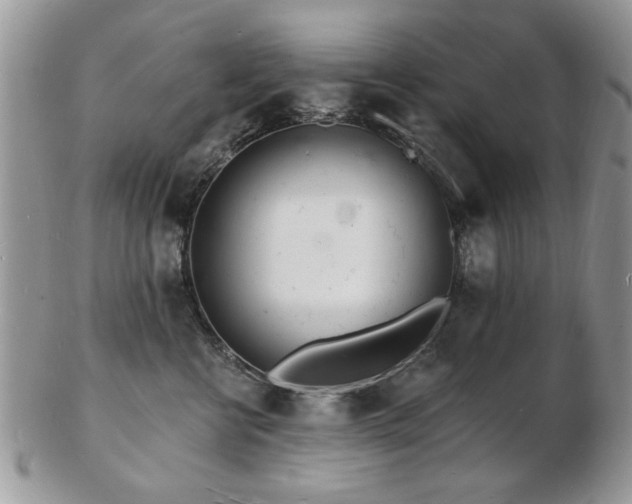 X0000103240570200808281443