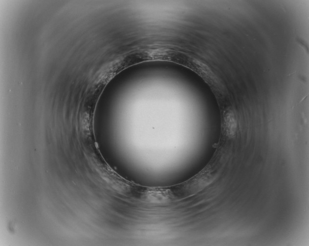 X0000103240571200808281443
