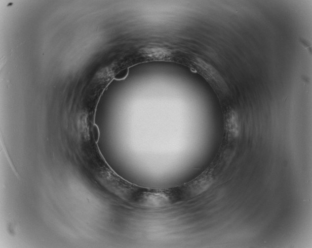X0000103240572200808281443