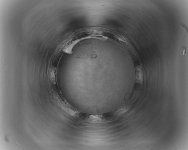 X0000103240573200808281444