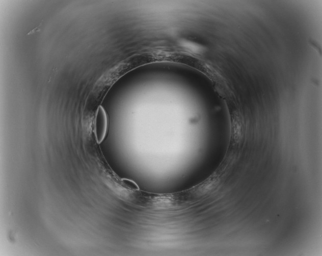 X0000103240574200808281444