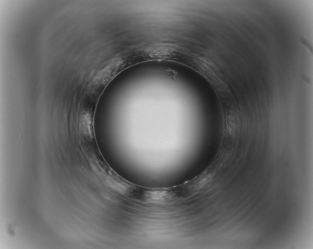 X0000103240575200808281444