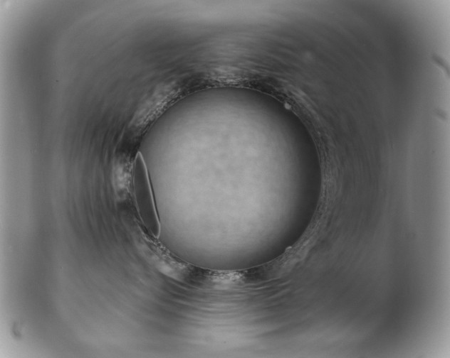X0000103240576200808281444