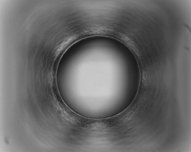X0000103240578200808281443