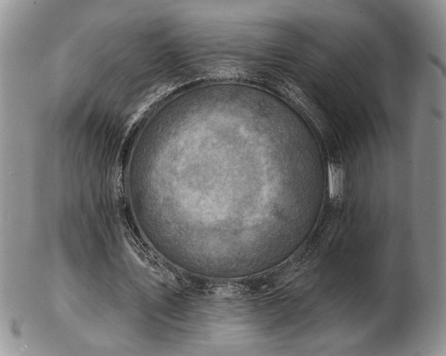 X0000103240579200808281443