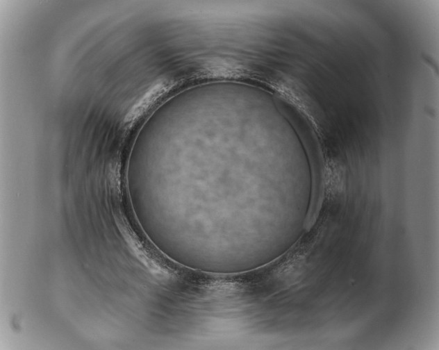 X0000103240581200808281443