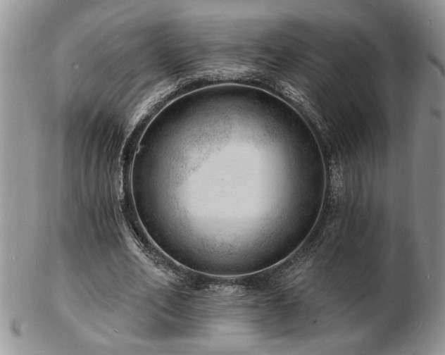 X0000103240582200808281443