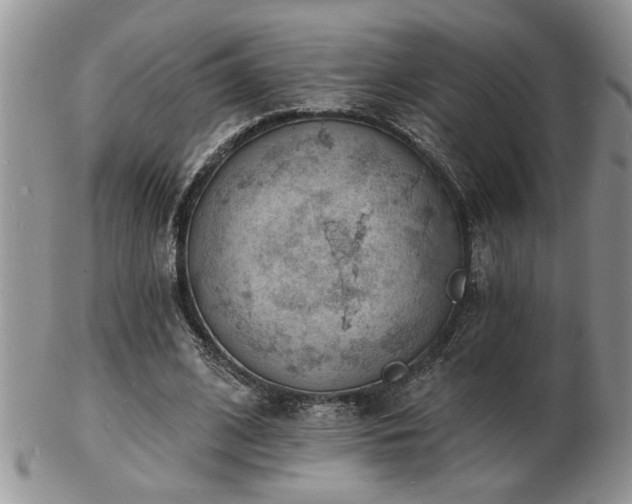 X0000103240584200808281443