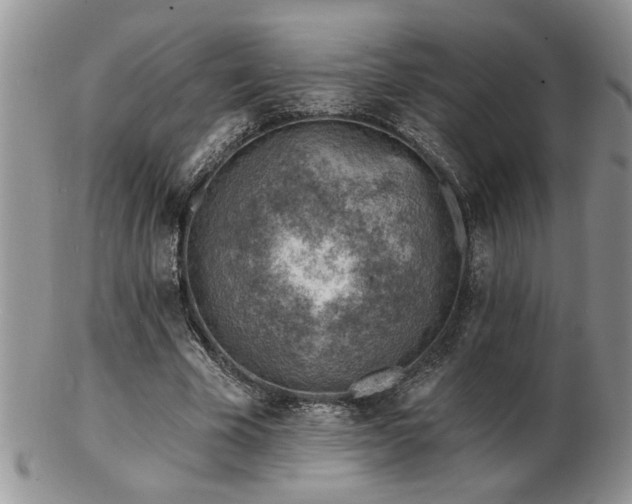 X0000103240585200808281443