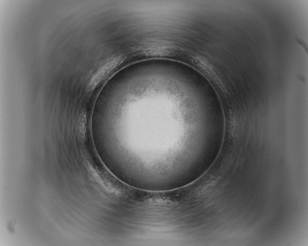 X0000103240586200808281443