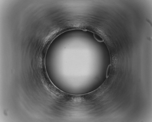 X0000103240587200808281443