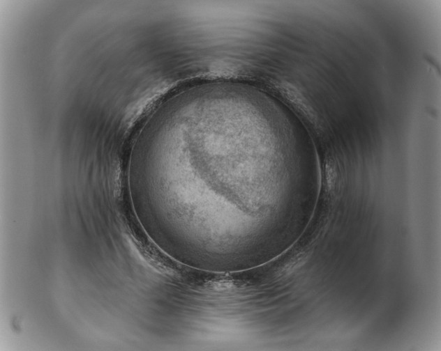 X0000103240588200808281443