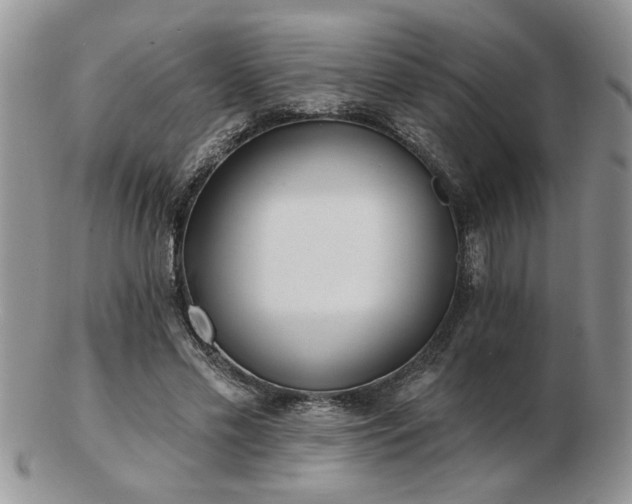 X0000103240589200808281443