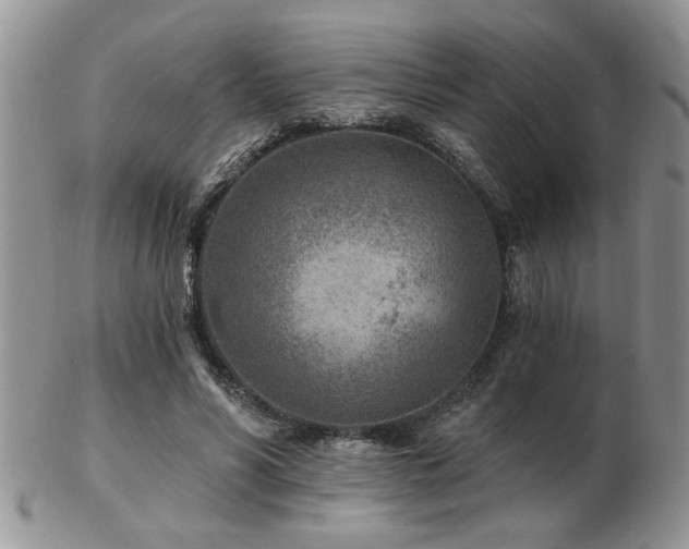 X0000103240590200808281443