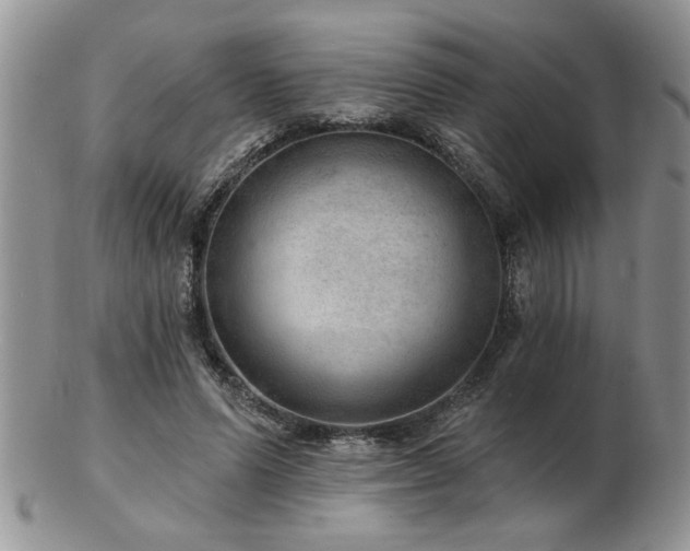 X0000103240591200808281443