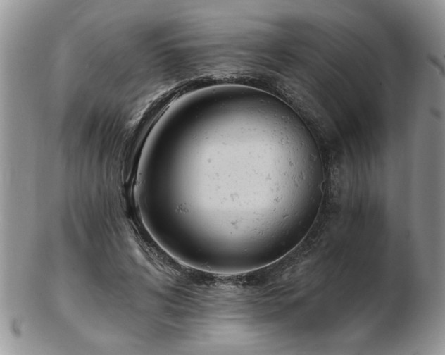 X0000103240592200808281443