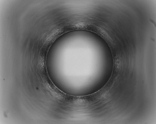 X0000103240593200808281443