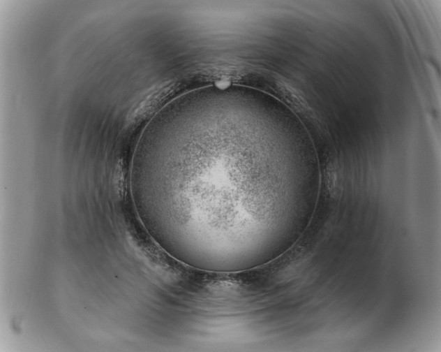 X0000103240594200808281443