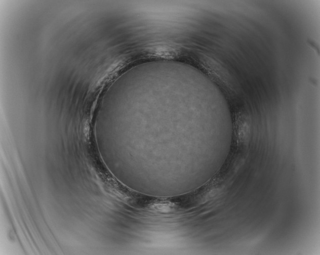 X0000103240595200808281443