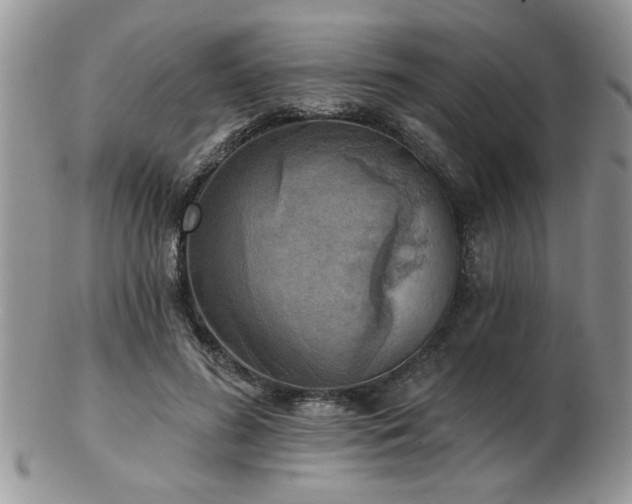 X0000103240596200808281443