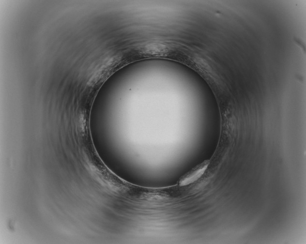 X0000103240597200808281443