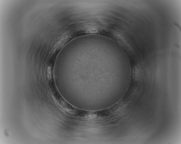 X0000103240598200808281443