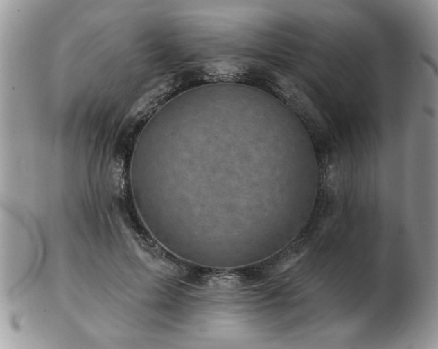 X0000103240599200808281443