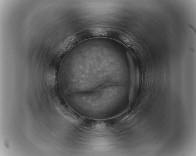 X0000103240600200808281443