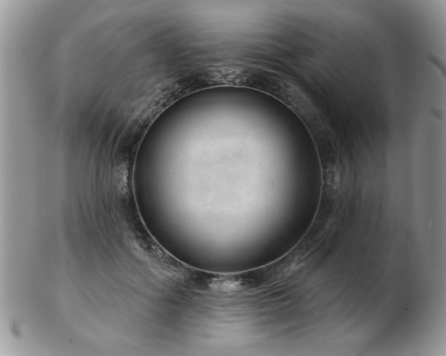 X0000103240602200808281443