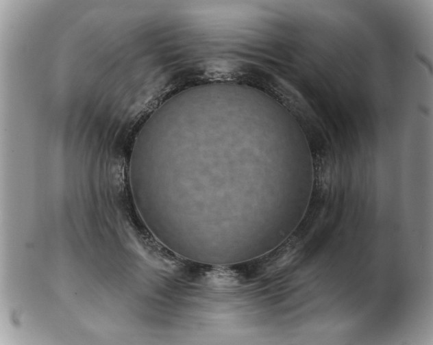X0000103240603200808281443