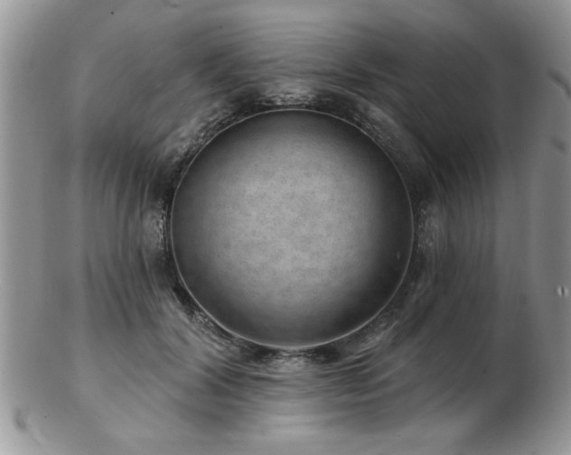 X0000103240604200808281443