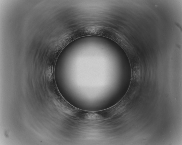 X0000103240605200808281442