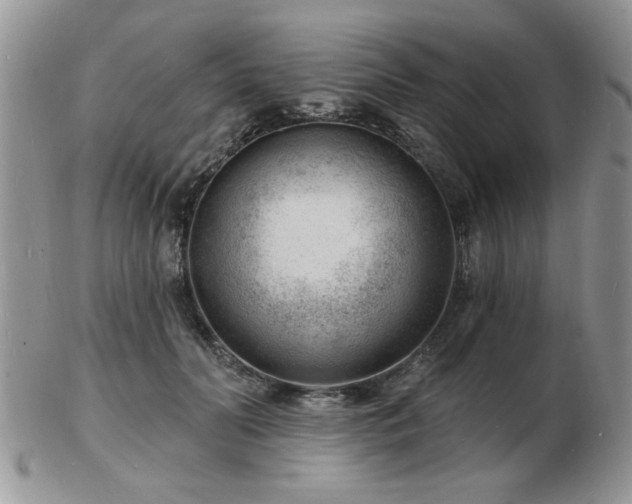 X0000103240606200808281442
