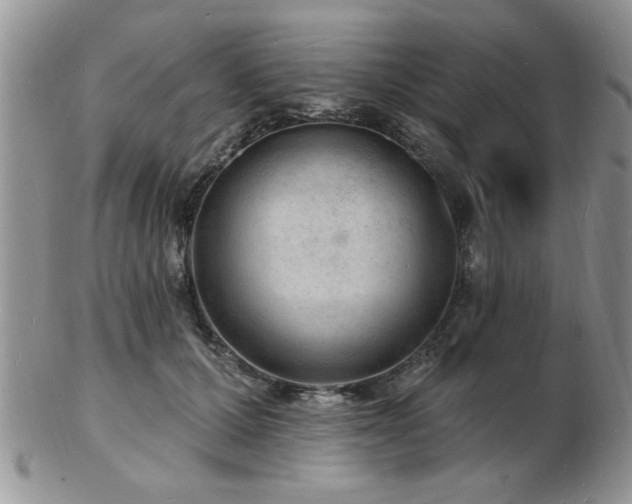 X0000103240607200808281442