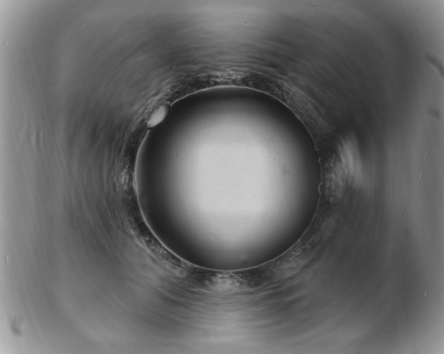 X0000103240608200808281442