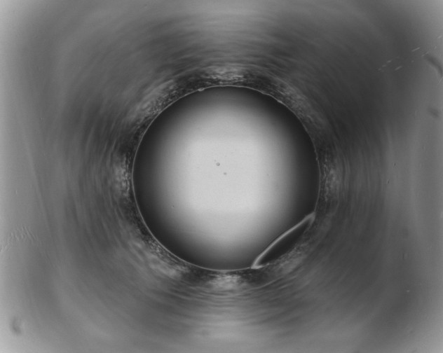 X0000103240609200808281442