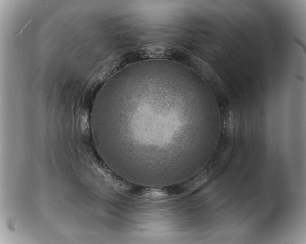 X0000103240610200808281442