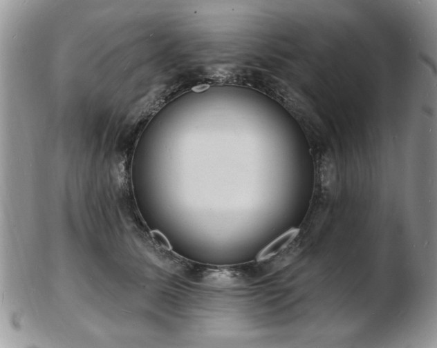 X0000103240611200808281442