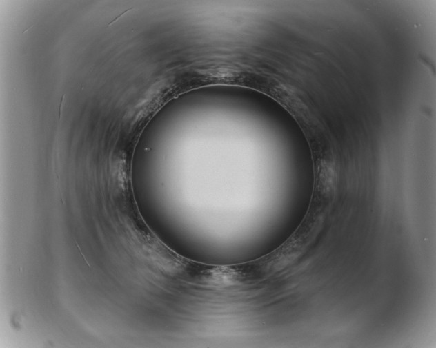 X0000103240612200808281442