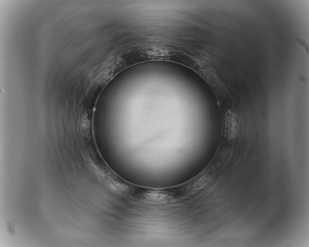 X0000103240614200808281442