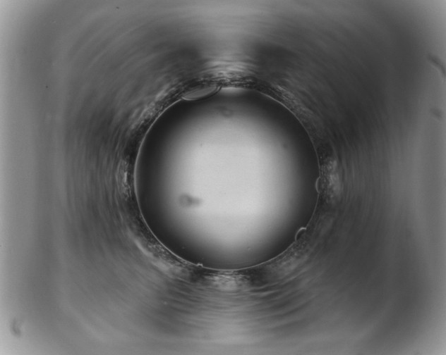 X0000103240615200808281442