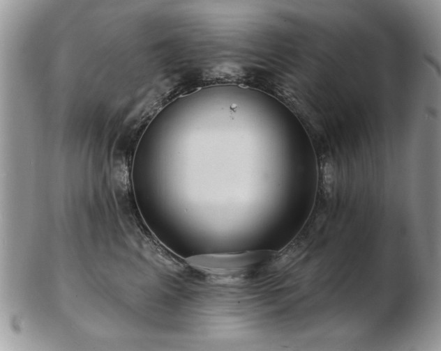 X0000103240617200808281442