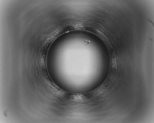X0000103240618200808281442