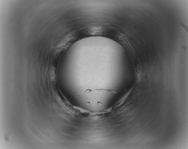 X0000103240620200808281442