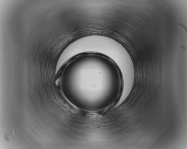 X0000103240621200808281442