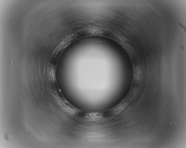 X0000103240622200808281442