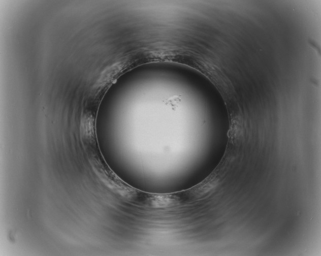 X0000103240623200808281442